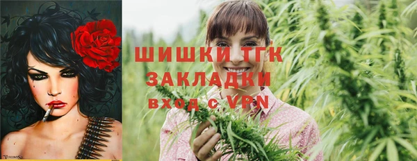гашик Алзамай