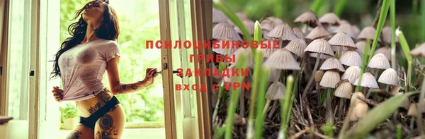 МДПВ Алексин