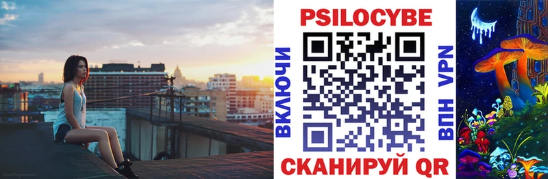 Псилоцибиновые грибы Psilocybe  закладка  ссылка на мегу как войти  Казань 
