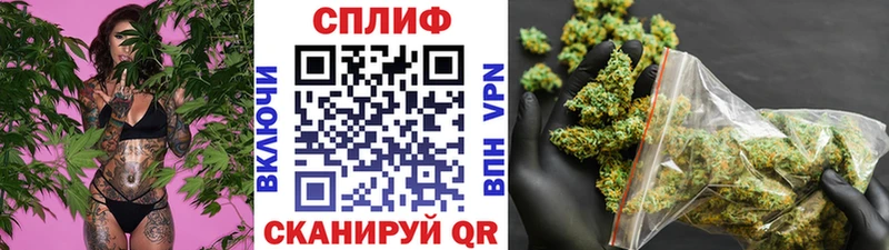 Бошки Шишки планчик  Казань 